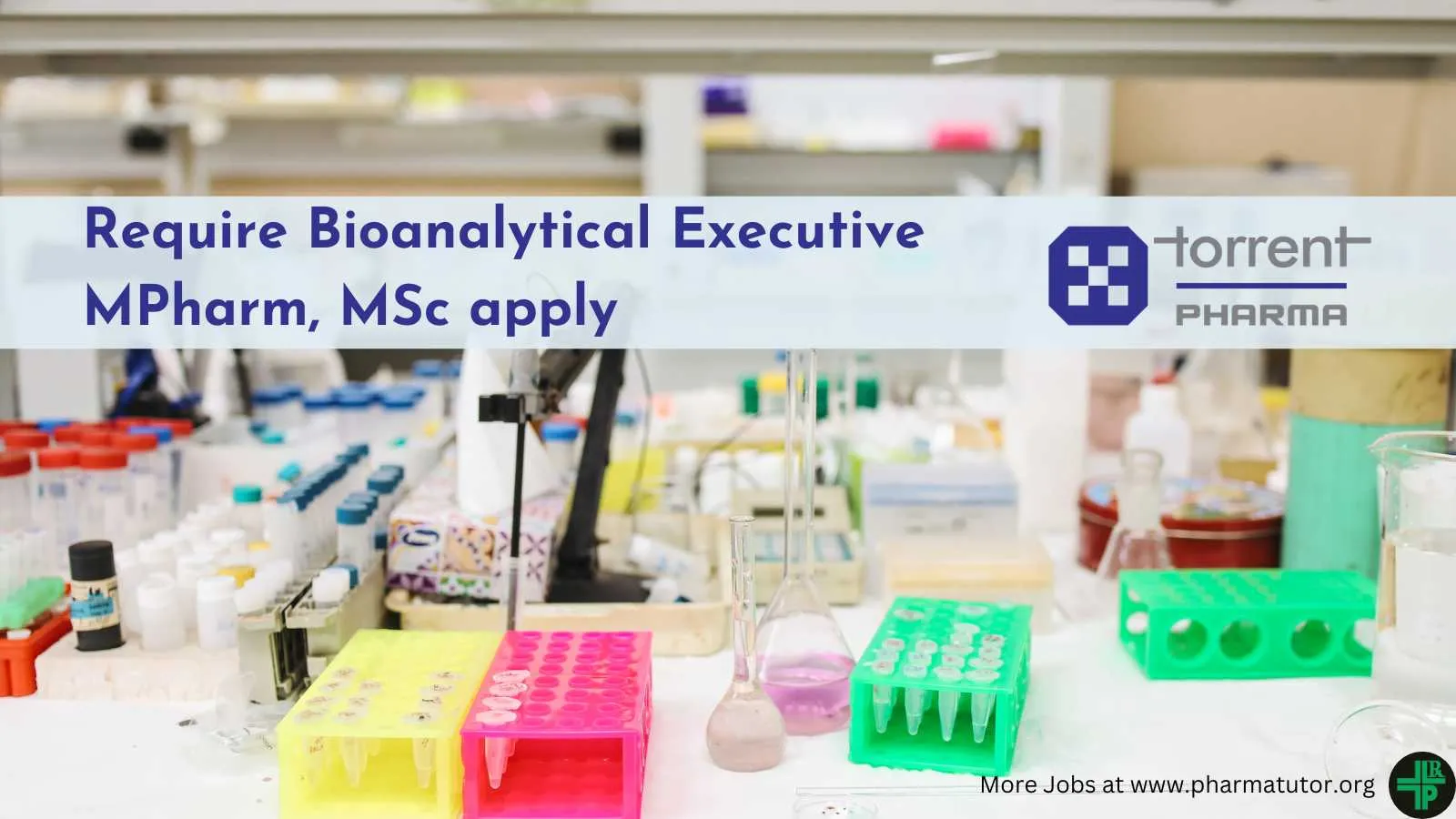 Torrent Pharma Require Bioanalytical Executive