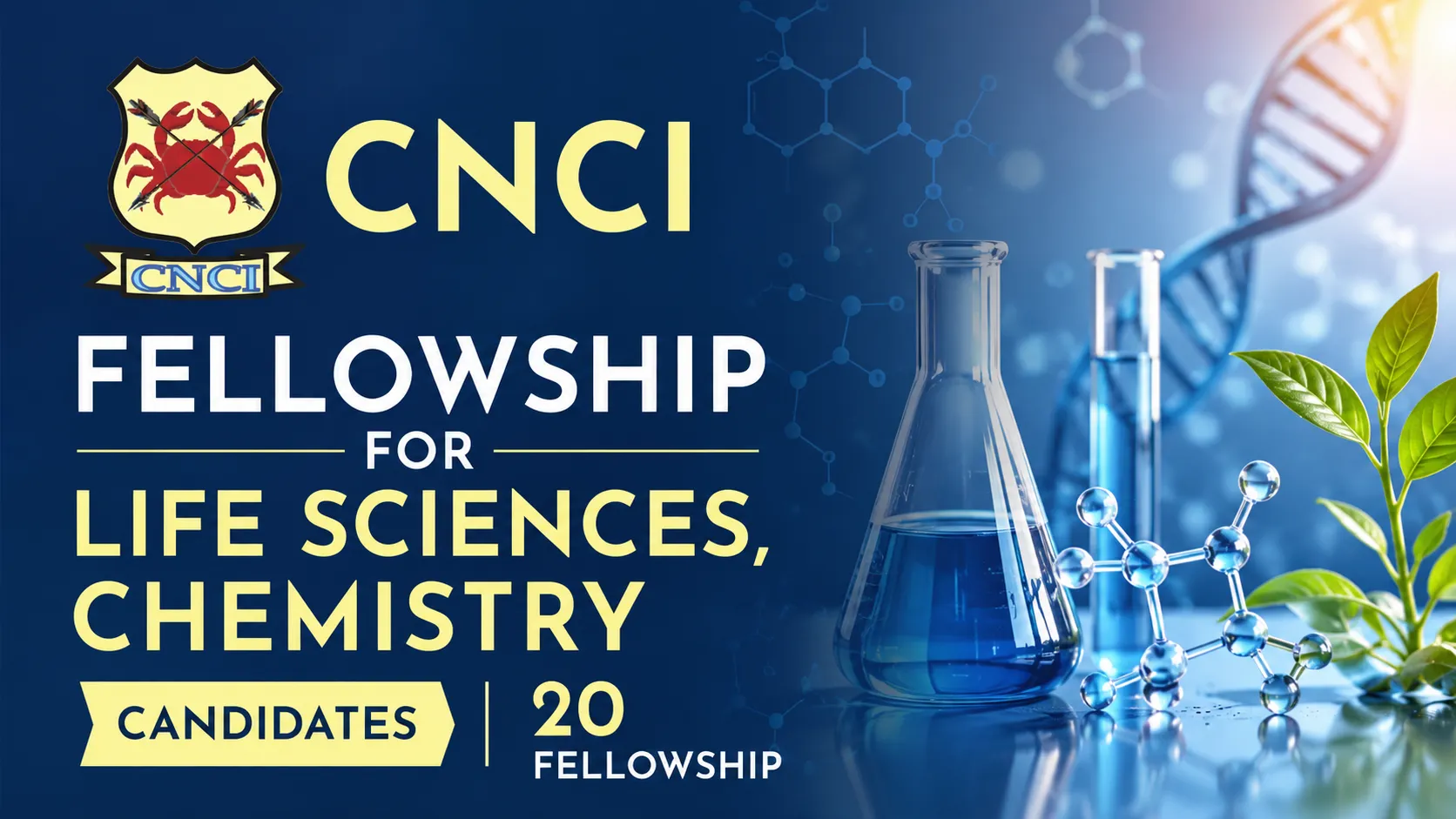 CNCI Fellowship for Life Sciences, Chemistry candidates