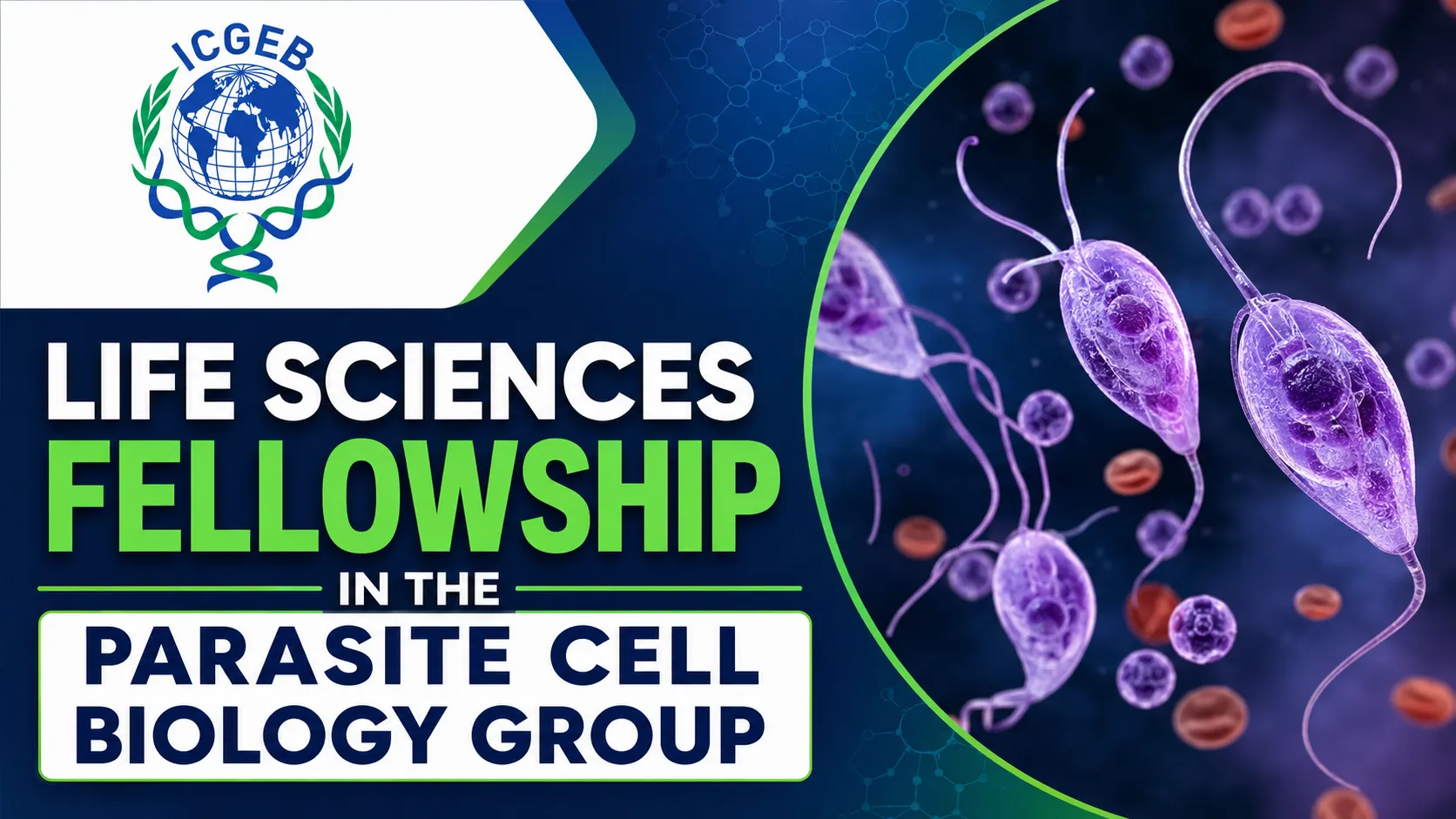 Life Sciences Fellowship in the Parasite Cell Biology Group at ICGEB