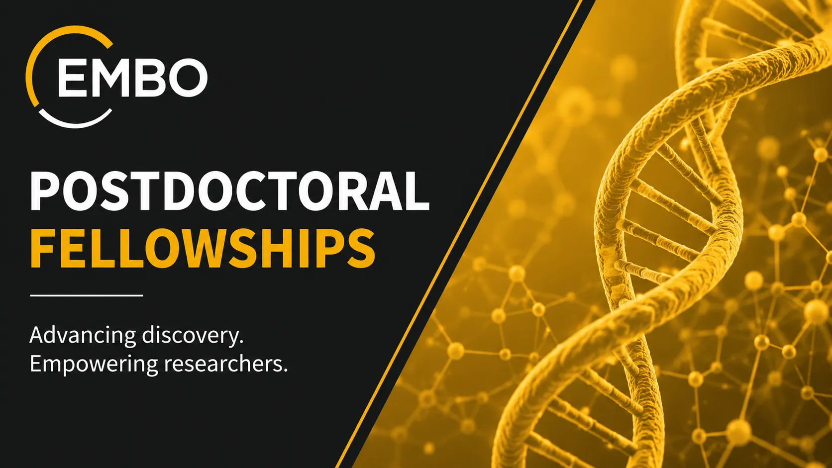 EMBO Postdoctoral Fellowships