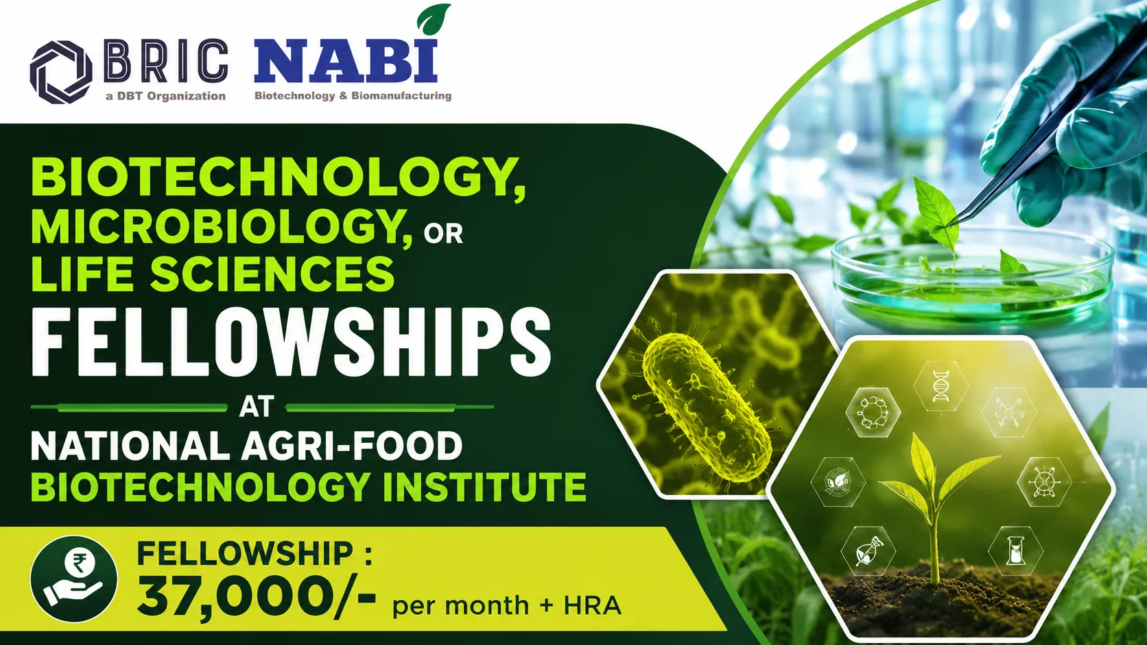 Biotechnology, Microbiology, or Life Sciences Fellowships at National Agri-Food Biotechnology Institute