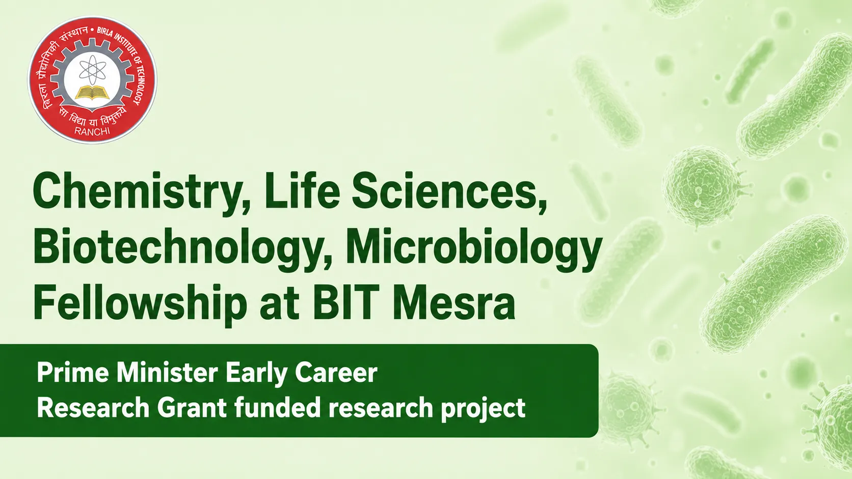 Chemistry, Life Sciences, Biotechnology, Microbiology Fellowship at BIT Mesra