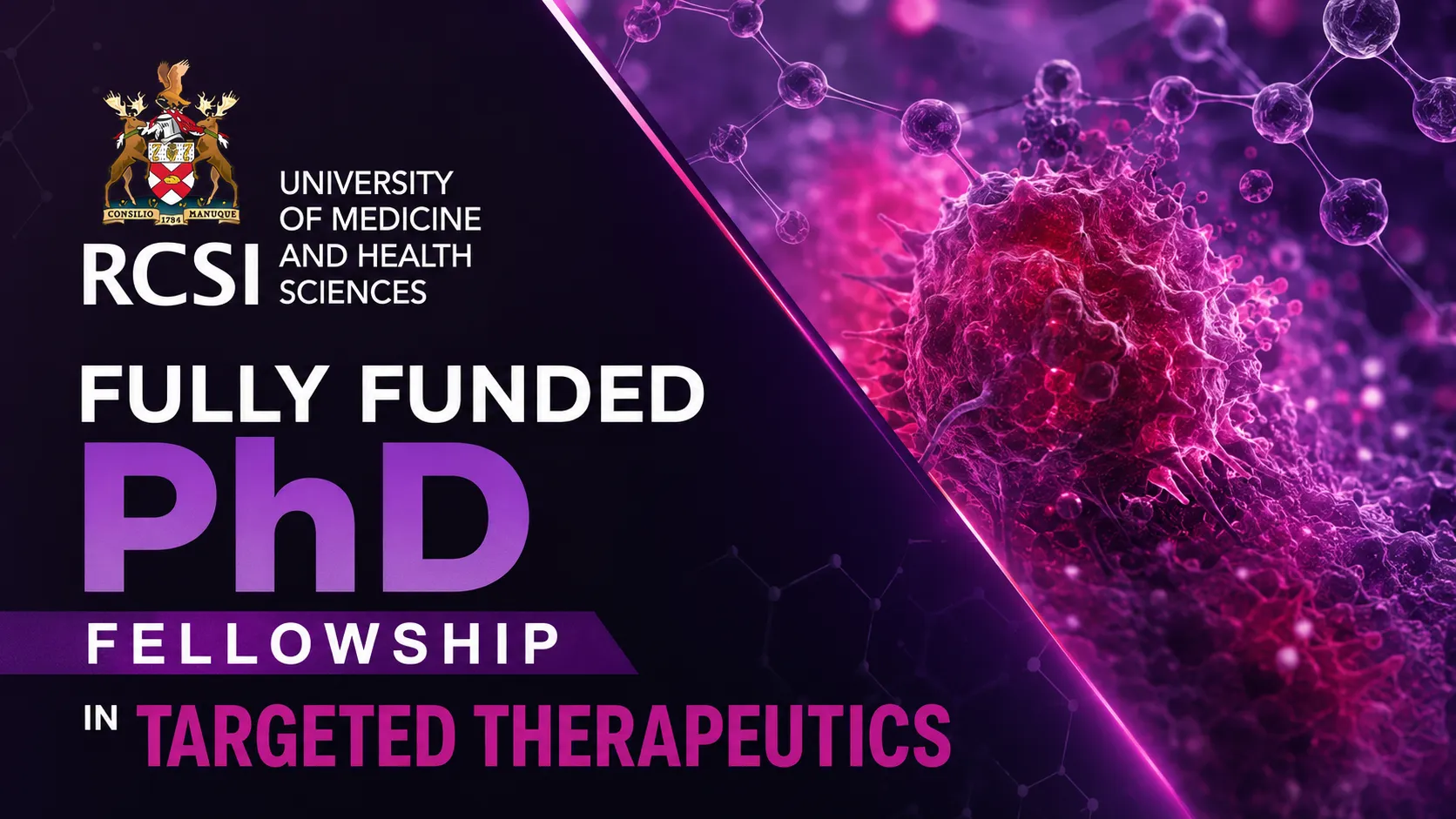 Fully Funded PhD Fellowship in Targeted Therapeutics (RCSI Dublin)
