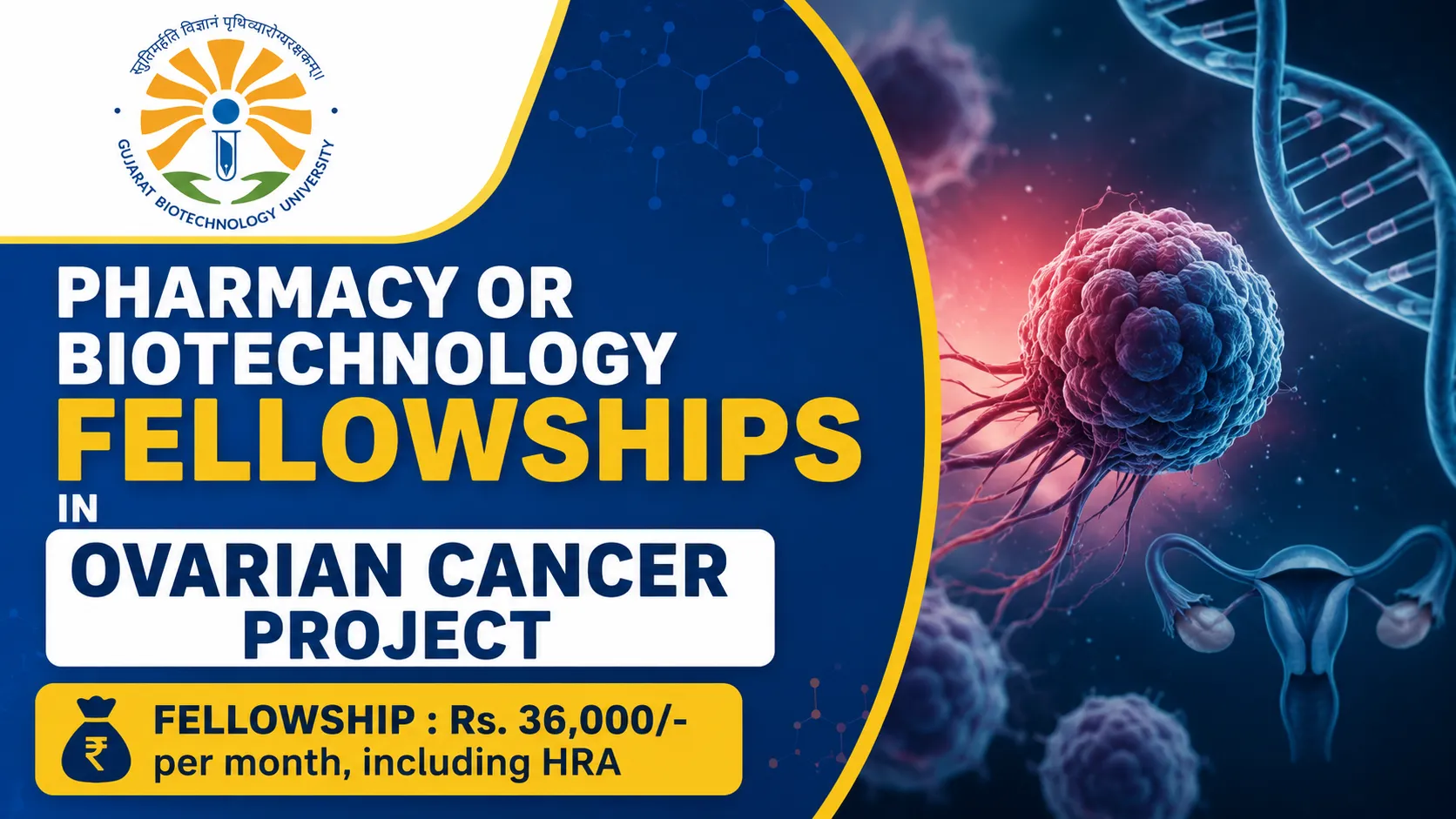 Pharmacy or Biotechnology Fellowships in Ovarian Cancer project at GBU