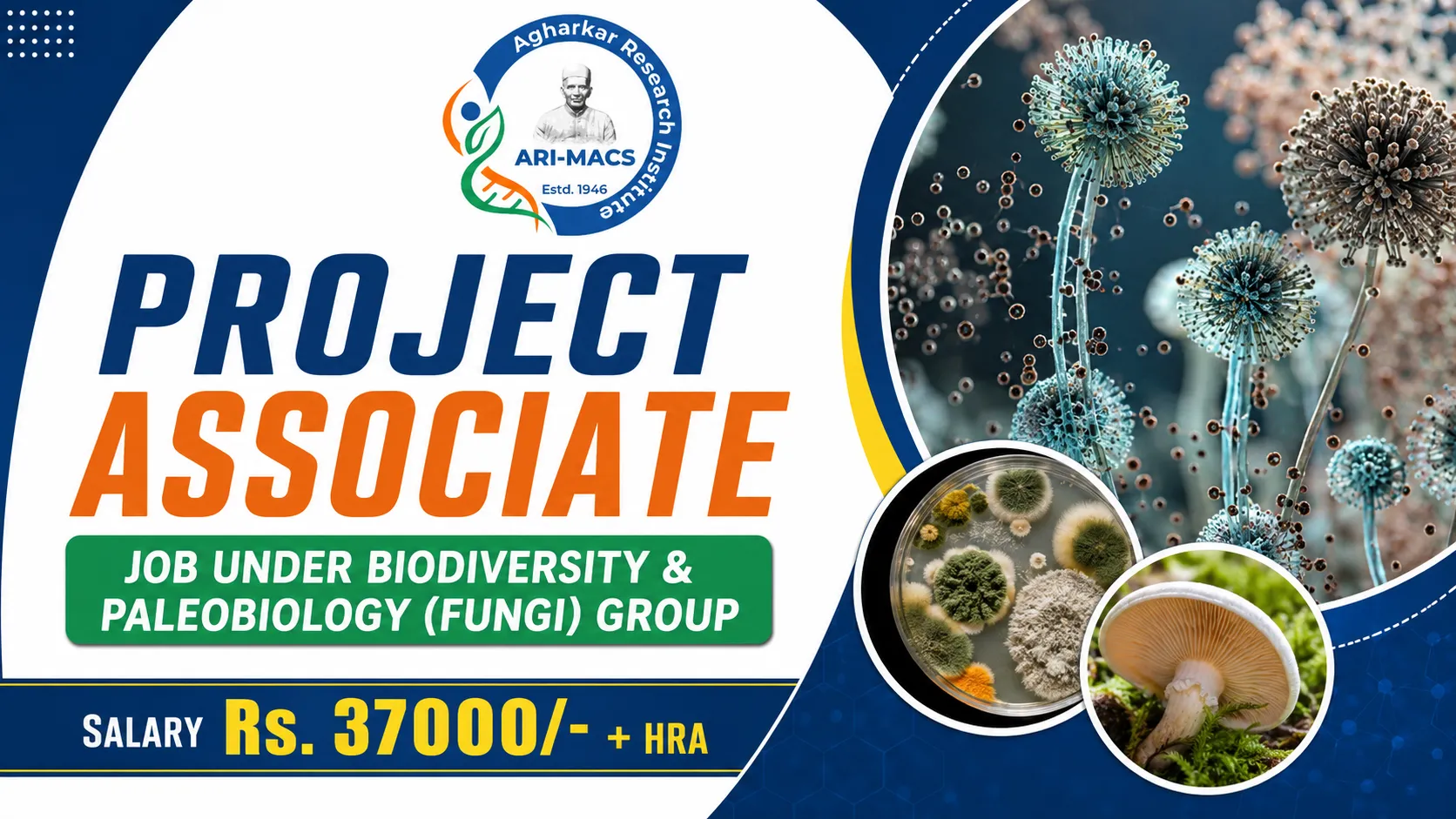 Project Associate Job under Biodiversity & Paleobiology (Fungi) Group at Agharkar Research Institute