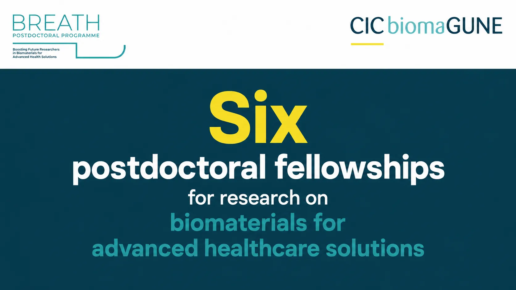 Six postdoctoral fellowships for research on biomaterials for advanced healthcare solutions