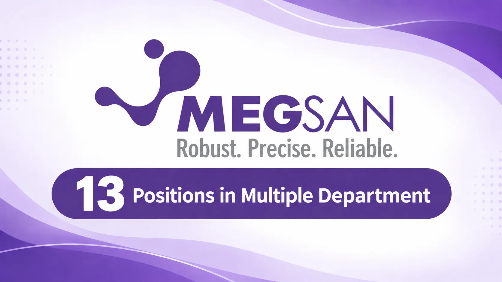 13 Positions in Multiple Department at Megsan