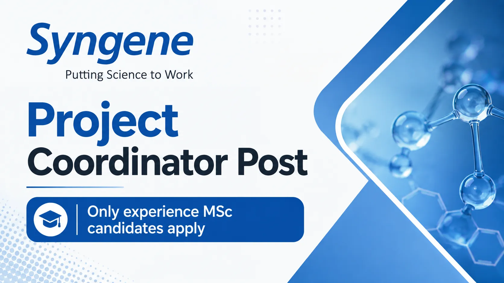 Career as Project Coordinator at Syngene