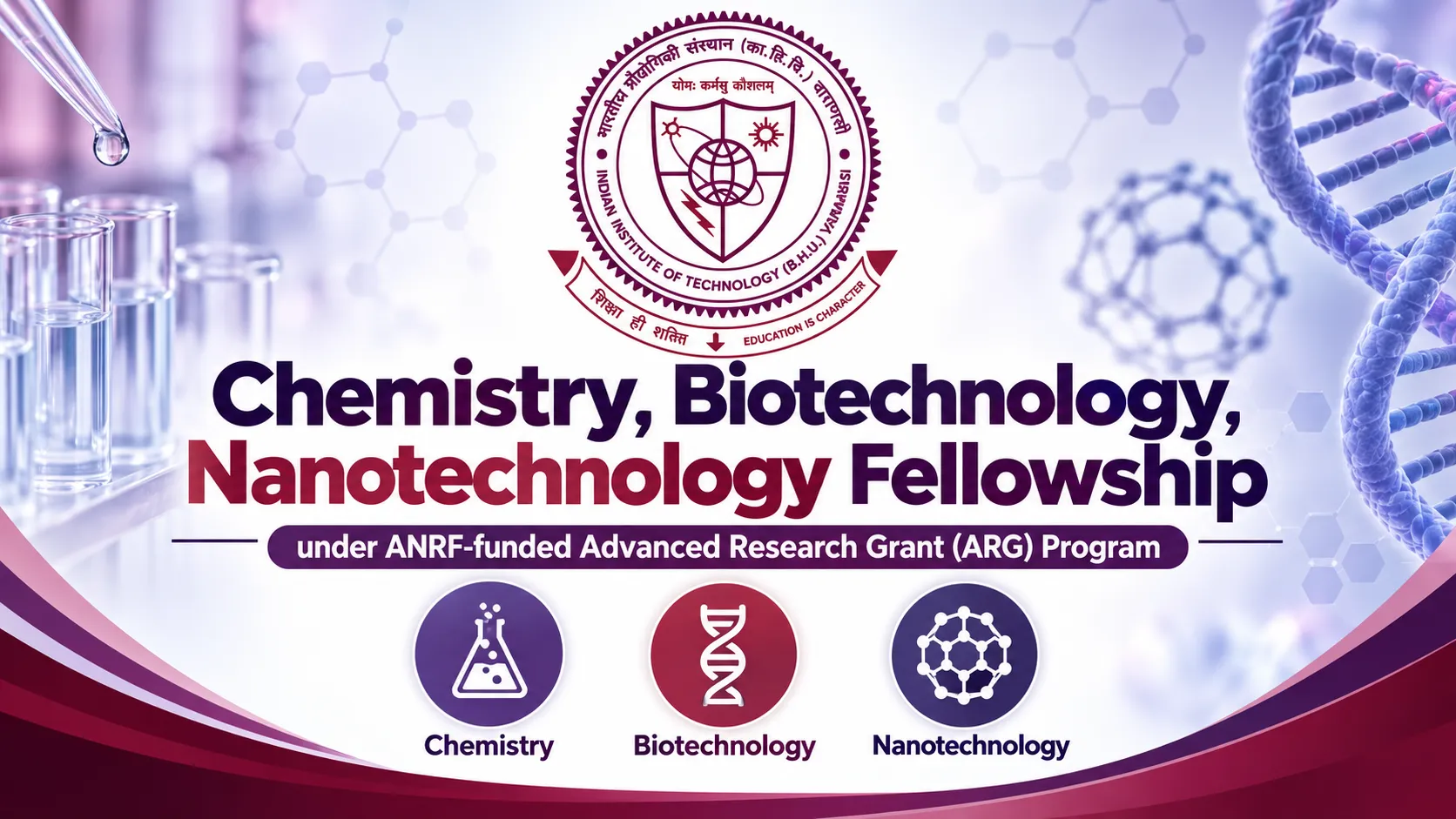Chemistry, Biotechnology, Nanotechnology Fellowship at IIT BHU