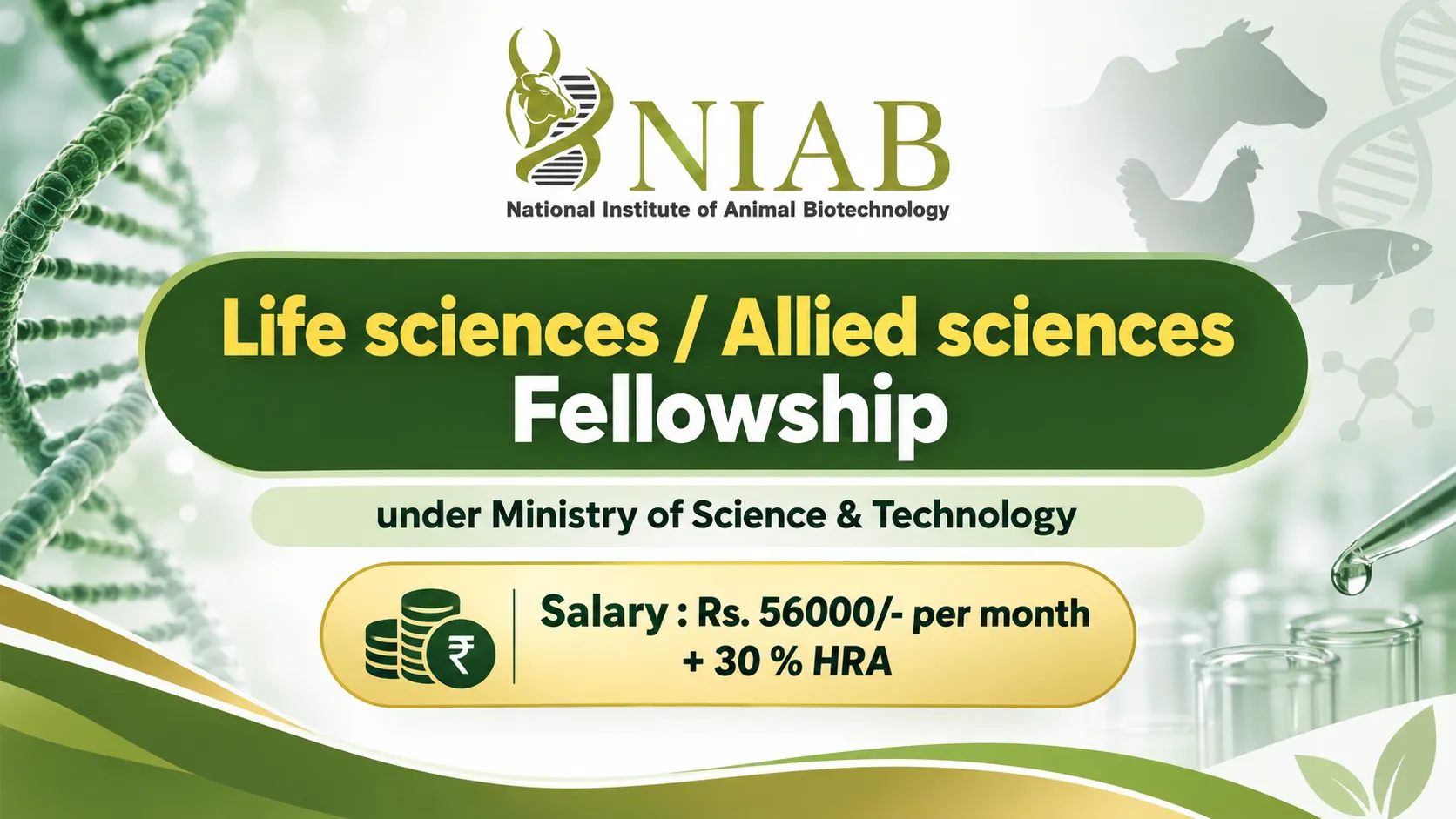 Life sciences / Allied sciences Fellowship under Ministry of Science & Technology, NIAB