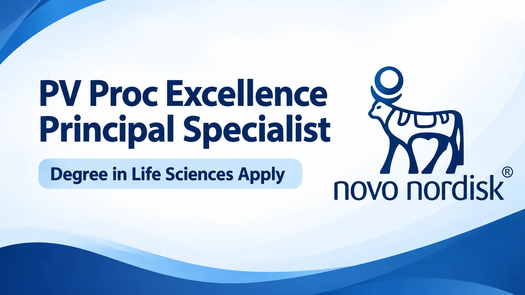Novo Nordisk Require PV Proc Excellence Principal Specialist