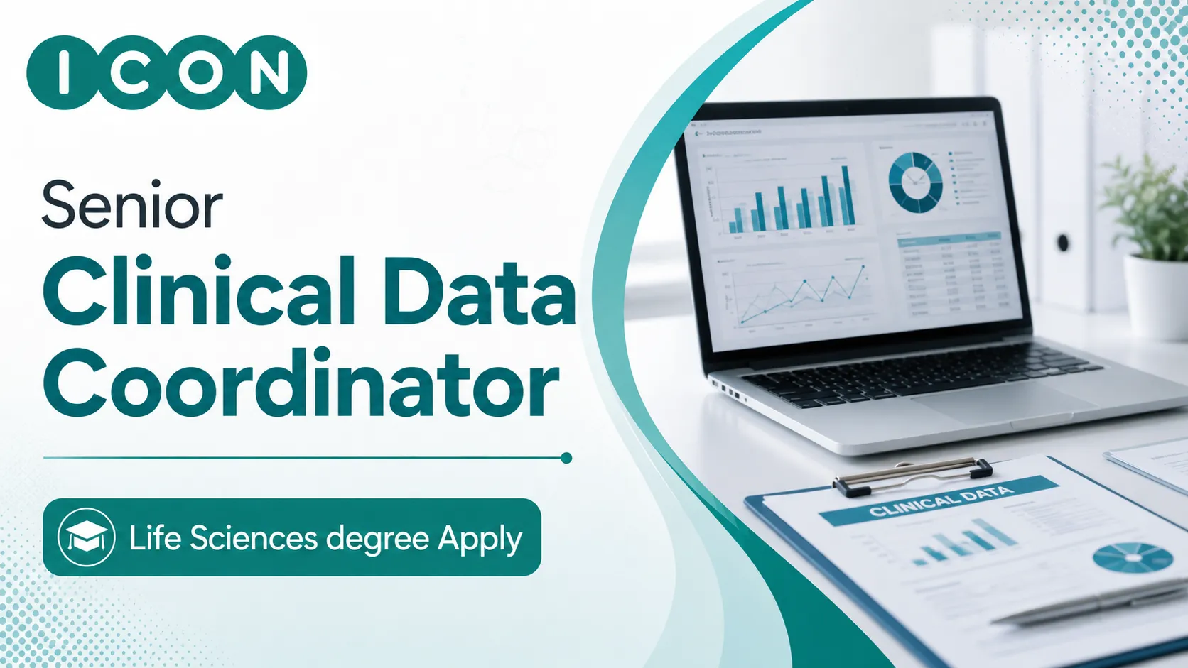 Work as Senior Clinical Data Coordinator at ICON plc