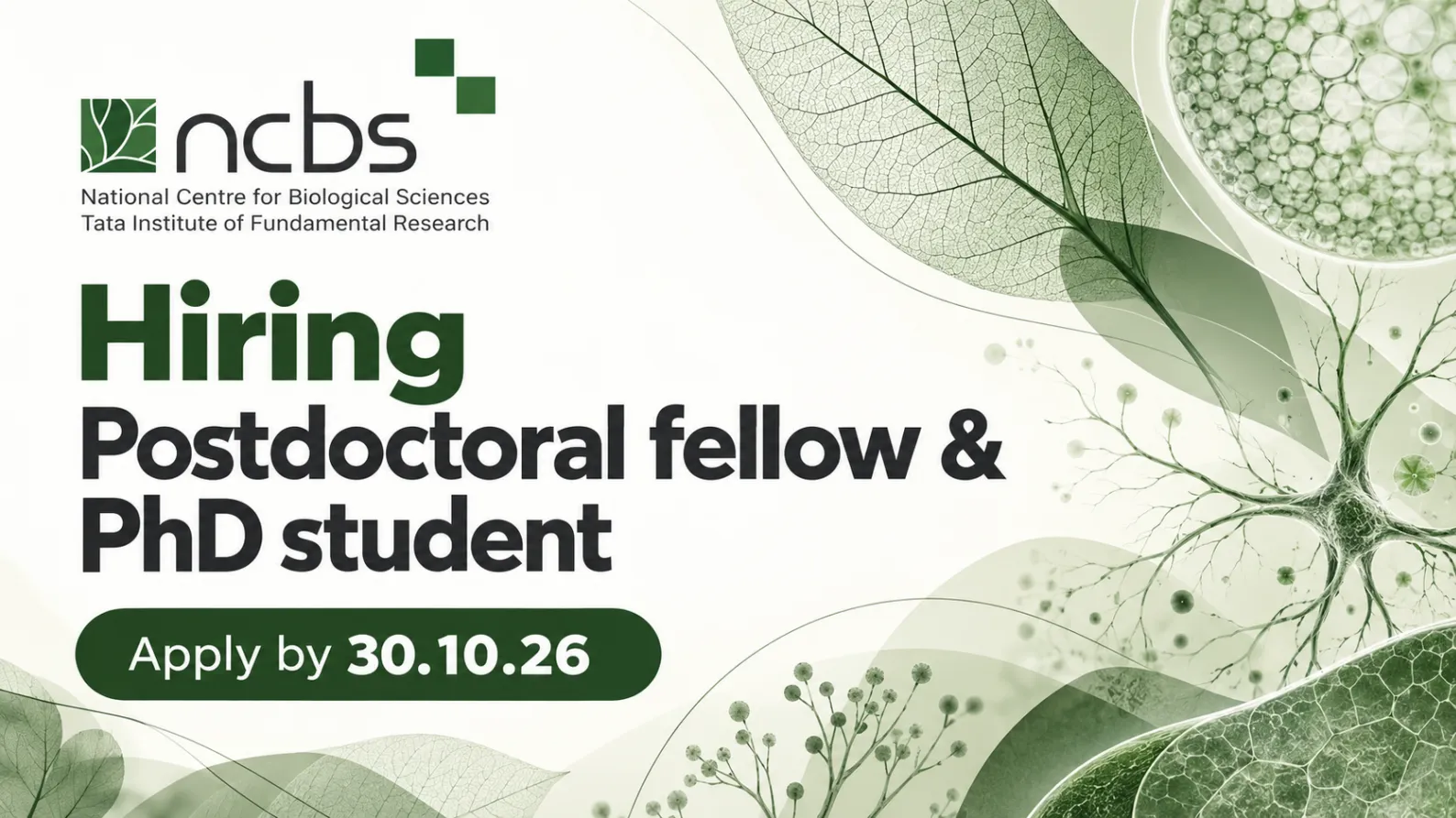 NCBS Hiring Postdoctoral fellow & PhD student